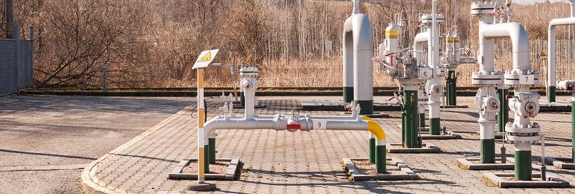 有什么簡便的方法檢測口腔細菌 ?有關菌落總數(shù)檢測問題都在這里~?健明迪