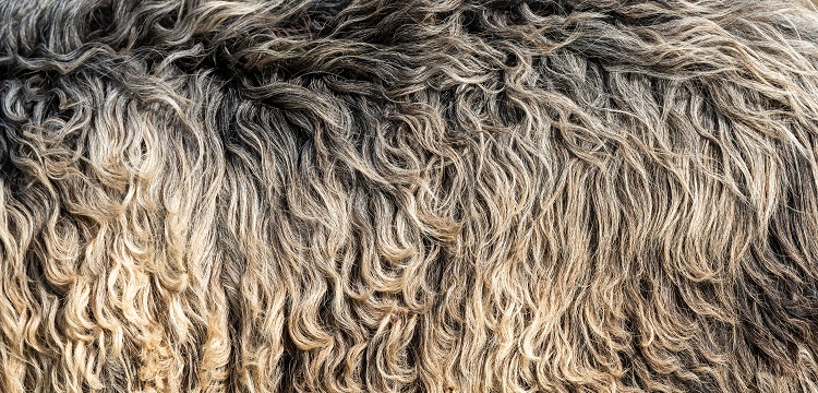 304不銹鋼做RoHS檢測需要檢測哪些項目?歐盟ROHS認(rèn)證是什么 做外貿(mào)的朋友快來了解一下