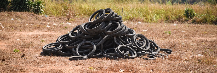 求問毒理未來的前景在何方 ?大家覺得化驗毛發應該推薦什么檢測啊 