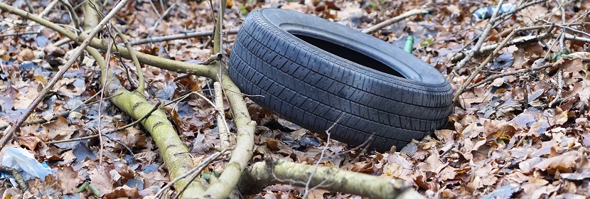 求問毒理未來的前景在何方 ?污水檢測的檢測項目和標準包括什么呢 