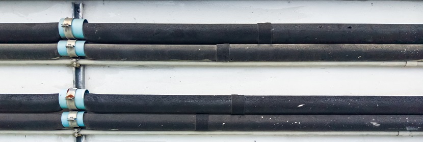 新冠抗體是什么 陽康后為什么要檢測抗體 ?現(xiàn)代醫(yī)學(xué)是如何檢測病毒的 