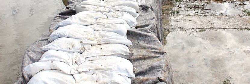 微波爐的滅菌效果到底如何 ?電器做除菌性能測試，用什么測試設備 