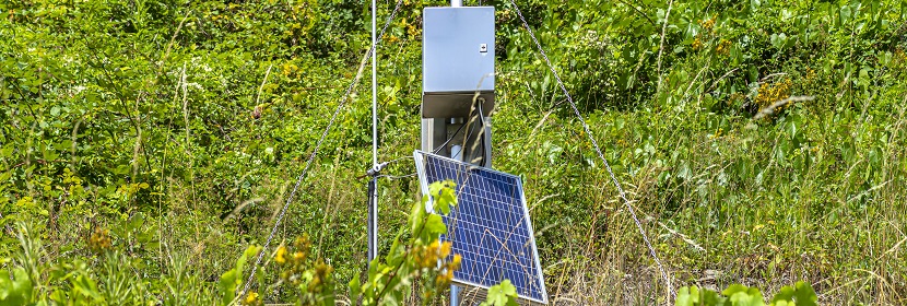 城市供水及飲用水中微生物如何快速檢測 這幾個單位的對比給出答案！?微生物高分文章必備分析LEfSe?健明迪