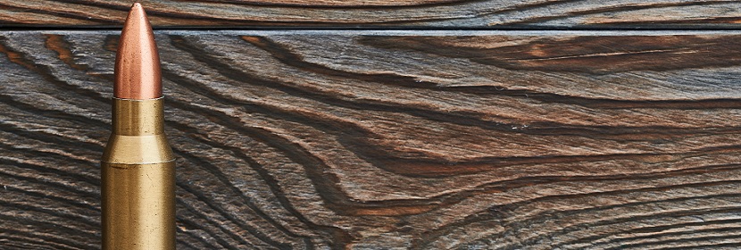 彈藥保護脂檢測