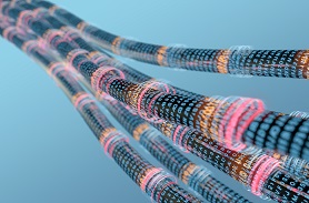 高分子材料人工加速老化實驗