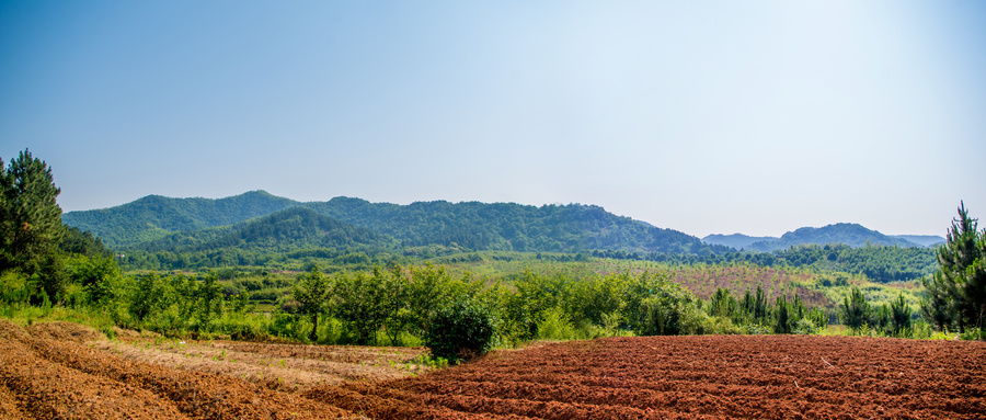 耕地質量監(jiān)測