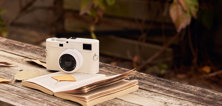 結核分枝桿菌感染豚鼠模型