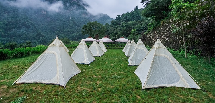 三甘醇二異辛酸酯檢測(cè)