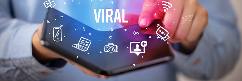 巖白菜素檢測(cè)