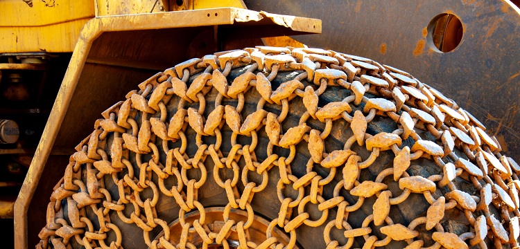 鏈脲佐菌素誘導糖尿病腎病大鼠