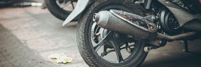 類風濕關節炎大鼠模型