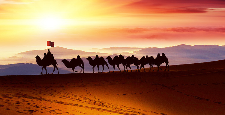 氟膠板檢測(cè)報(bào)告