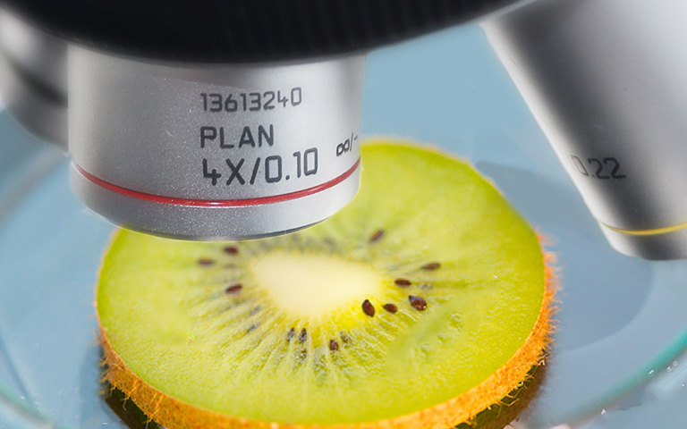 無氧銅檢測(cè)