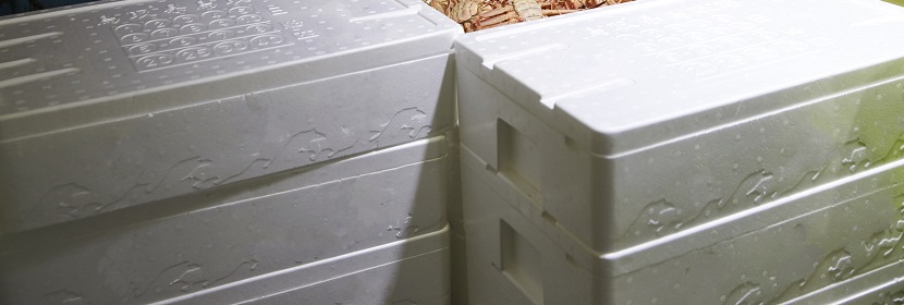 緩沖鏈檢測(cè)