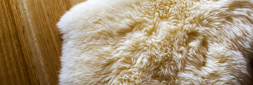 耐化學(xué)性試驗(yàn)