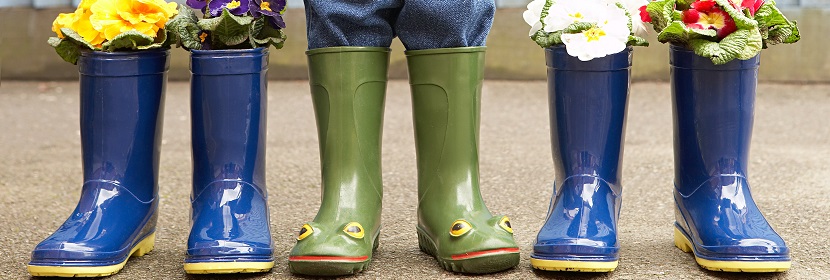 紅霉素檢測(cè)