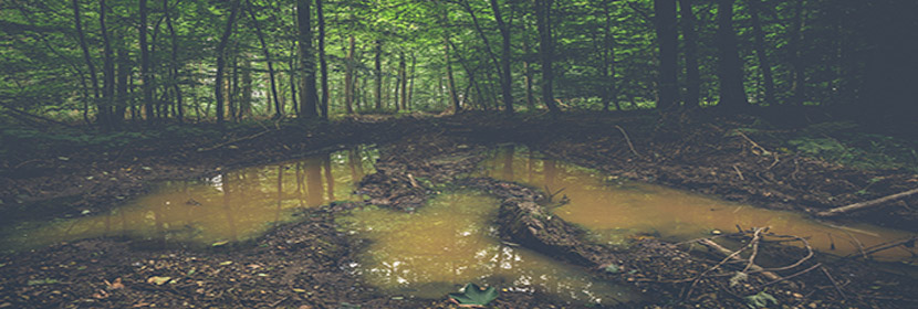 介質(zhì)損耗角正切試驗