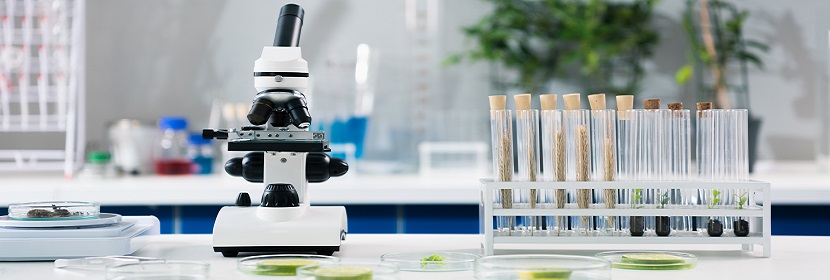 極限氧指數測試