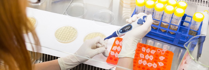 鎂質膠凝材料制品用硫酸鎂檢測